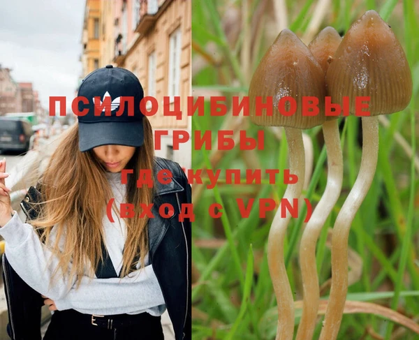 МДПВ Аркадак