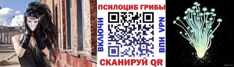 сайты даркнета формула  Бавлы  Галлюциногенные грибы Psilocybe  MEGA ссылка 